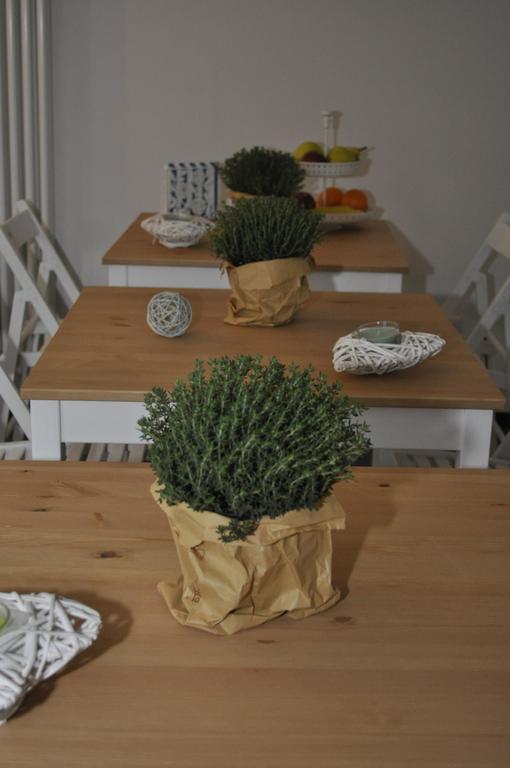 מרינה די מסה B&B Acquamarina מראה חיצוני תמונה
